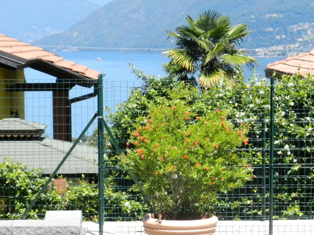 Casa Elena 1 Apartment Germignaga Luaran gambar